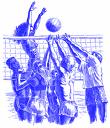 volley.jpg