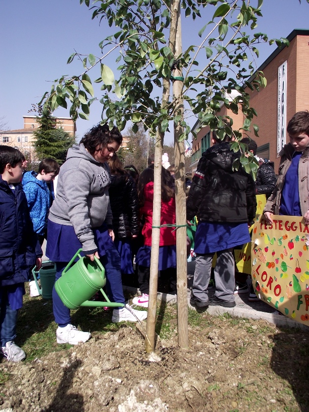 piantumazione 3