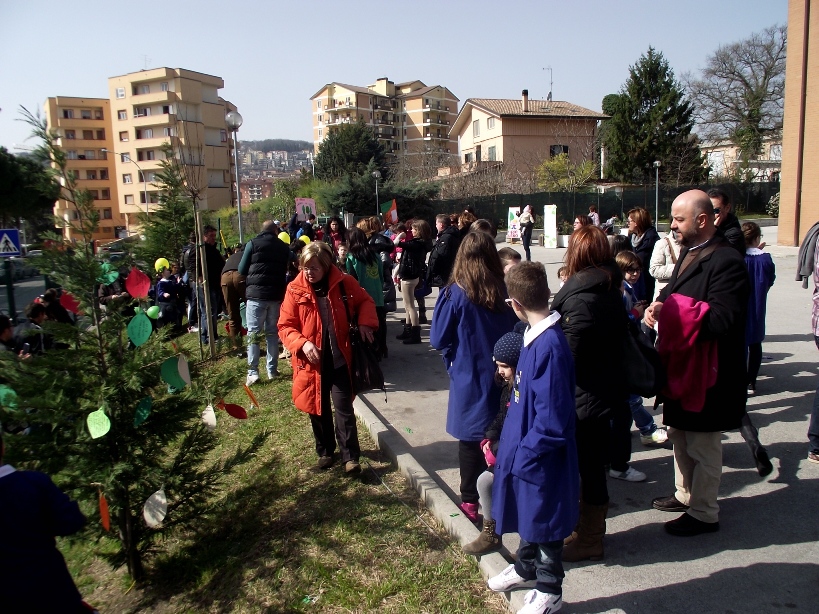 piantumazione 9