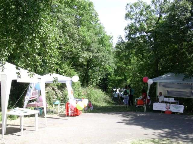 gazebo volontariato