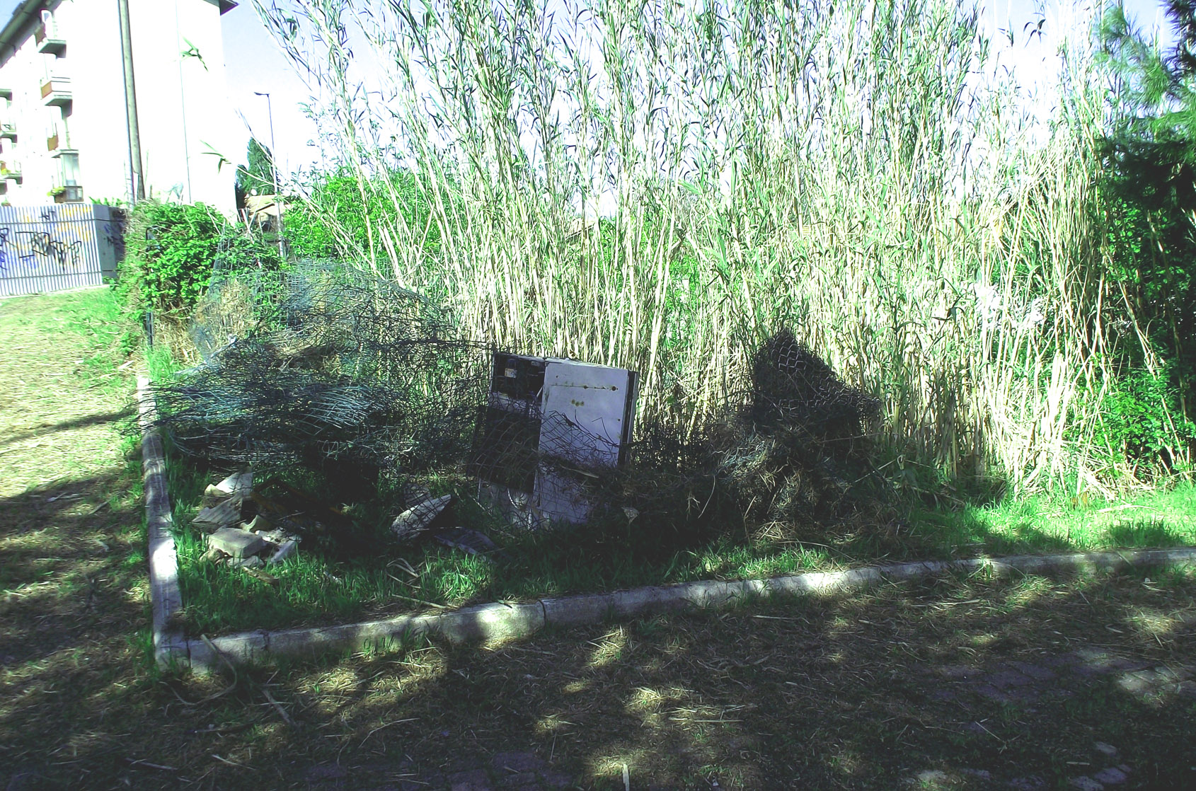 pulizia_camp_marche_5.jpg pulizia_camp_marche_5.jpg